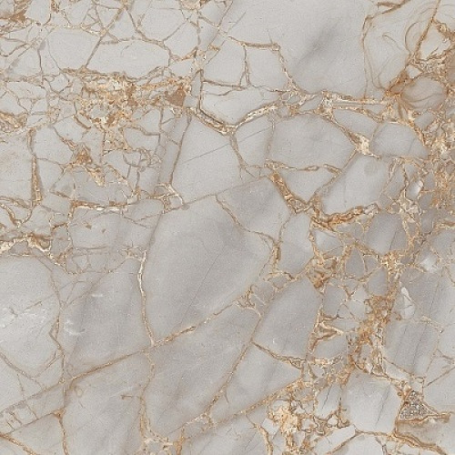 Керамогранит Primavera PR212 Golden Grey Polished Керамогранит Primavera PR212 Golden Grey Polished